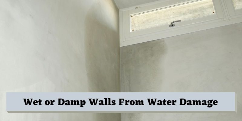 Wet or Damp Walls From Water Damage