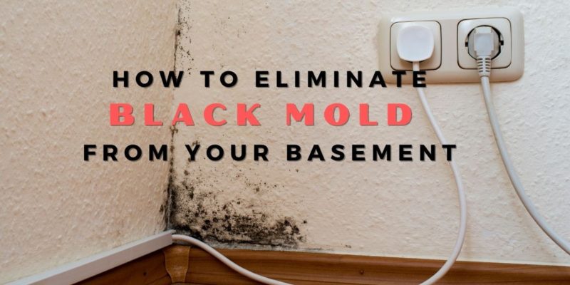 How To Eliminate Black Mold From Your Basement